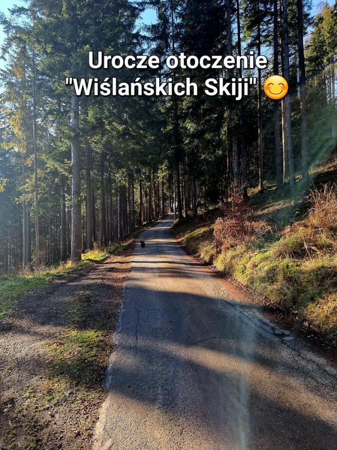 Apartament Wislanskie Skije Bagian luar foto